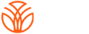 金年会